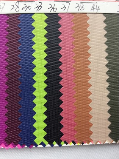 DG-BICG BC-2101 PL   背囊面料 細節-2